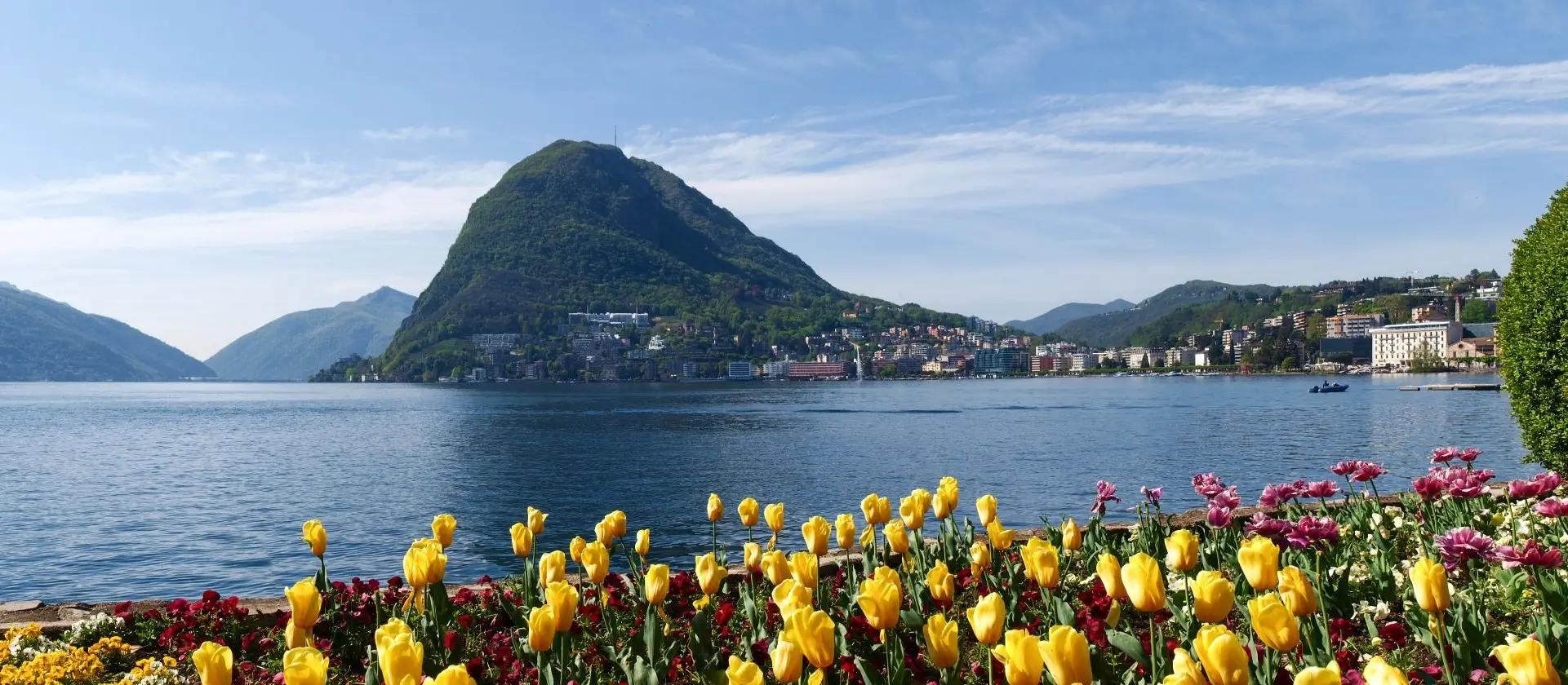 Lugano hero